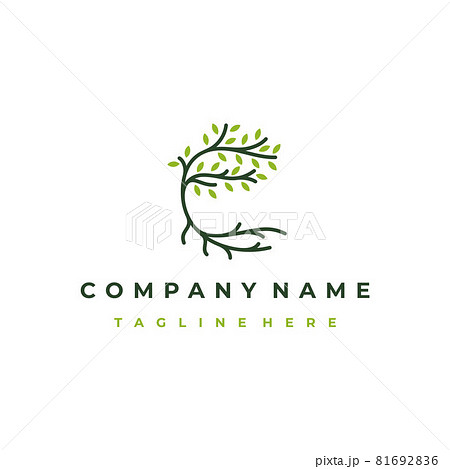 Tree and roots logo design vector isolated, abstract tree logo design Tree and roots logo design vector isolated, abstract tree logo design 81692836