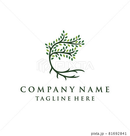 Tree and roots logo design vector isolated, abstract tree logo design Tree and roots logo design vector isolated, abstract tree logo design 81692841