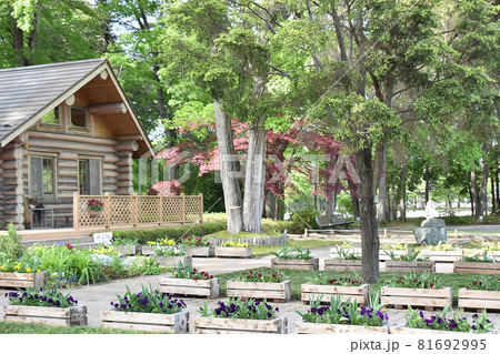 栃木県宇都宮市　みずほの自然の森公園 81692995