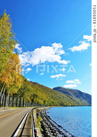北海道 支笏湖 秋の青空と黄葉 北海道 支笏湖 秋の青空と黄葉 81693051