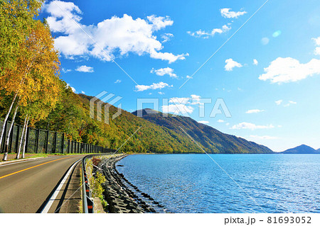 北海道　支笏湖　秋の青空と黄葉 81693052