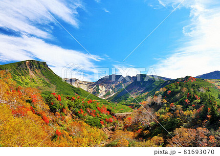北海道 秋の青空と十勝岳の紅葉風景 北海道 秋の青空と十勝岳の紅葉風景 81693070