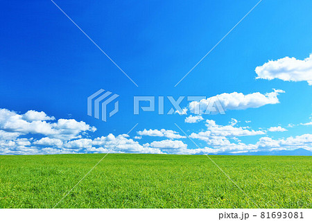 北海道　青空と美瑛の風景 81693081