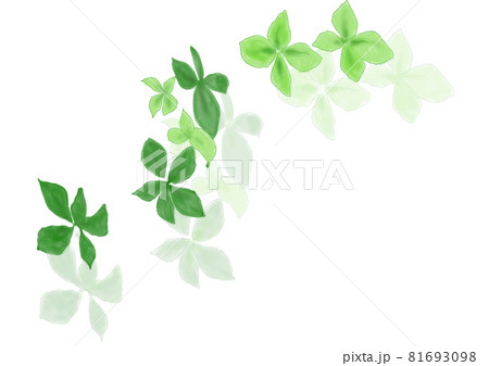 緑の四葉のクローバー 81693098
