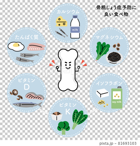 骨を強くする栄養素・食べ物（日本語ver.） 81693103