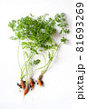 carrots with soil and green leaves on white 81693269