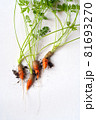 carrots with soil and green leaves on white 81693270