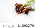 carrots with soil and green leaves on white 81693279
