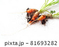 carrots with soil and green leaves on white 81693282