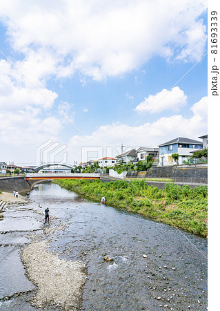 閑静な住宅街の側を流れる清らかな川 閑静な住宅街の側を流れる清らかな川 81693339