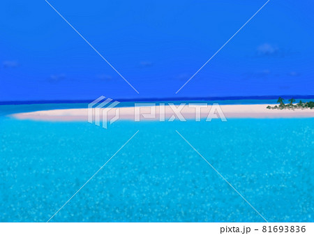 環礁　白い砂浜　サンゴ礁　リゾート　空　海 81693836