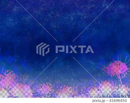 Night sky and cluster amaryllis 81696850