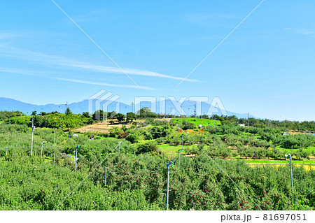 五輪久保のりんご畑より浅間山方面を望む(長野県立科町)【2020.10】 五輪久保のりんご畑より浅間山方面を望む(長野県立科町)【2020.10】 81697051