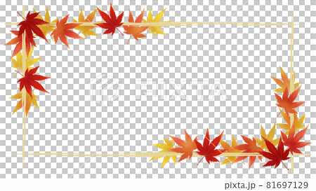 Frame of maple with autumn leaves Frame of maple with autumn leaves 81697129