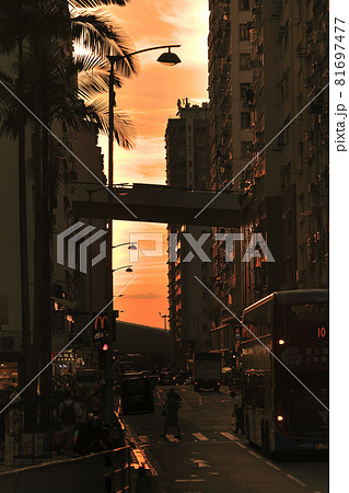 the sunset at street through Midtown Shek Tong Tsui, hk 20 Aug 2021 the sunset at street through Midtown Shek Tong Tsui, hk 20 Aug 2021 81697477