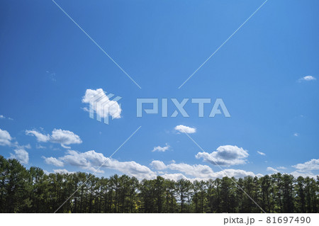 林と青空のバックグラウンド 林と青空のバックグラウンド 81697490