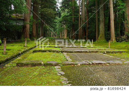 白山平泉寺 参道 白山平泉寺 参道 81698424