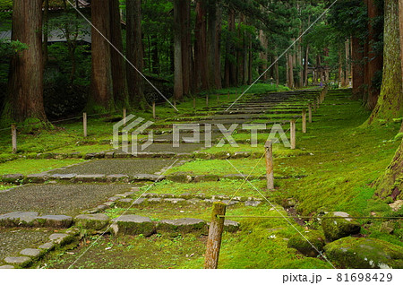 白山平泉寺　参道 81698429