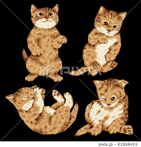 可愛い猫のベクターイラスト素材, 81698433