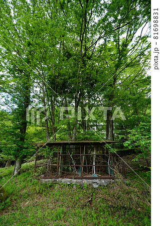 廃墟　山梨県北杜市　ホテル大藪　廃ホテル 81698831