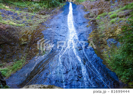 福井県 権現山の布滝 【柳の滝】 福井県 権現山の布滝 【柳の滝】 81699444