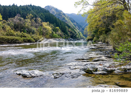 櫛田川の沈下橋から香肌峡（三重県松阪市） 81699889