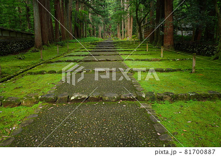 白山平泉寺 参道 白山平泉寺 参道 81700887