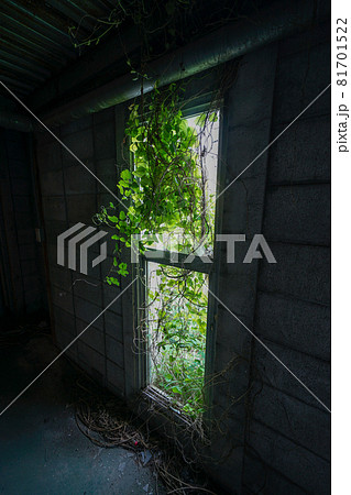 廃墟　長野県　ホテルカントリー　廃ホテル　廃ラブホテル 81701522