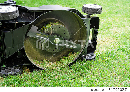 Blade in lawn mower machine cut green grass, Hobby planting home garden. Blade in lawn mower machine cut green grass, Hobby planting home garden. 81702027