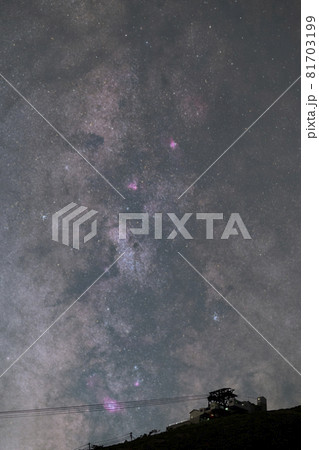 那須岳のバンビの横顔 81703199