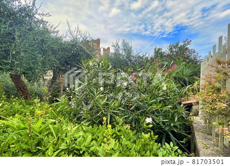 Ruins of roman villa Grottoes of Catullus in sirmione at lake garda in itlay 81703501