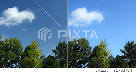 偏光レンズの効果 偏光レンズの効果 81703773