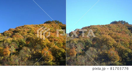 偏光レンズの効果 81703776