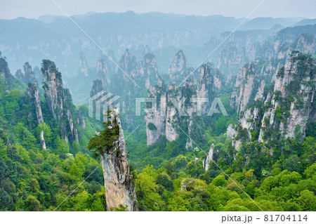 Zhangjiajie mountains, China 81704114