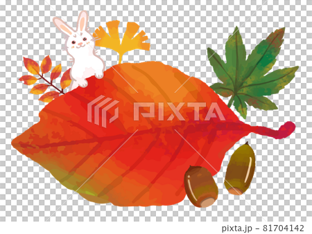 繪本般觸感的紅葉 81704142