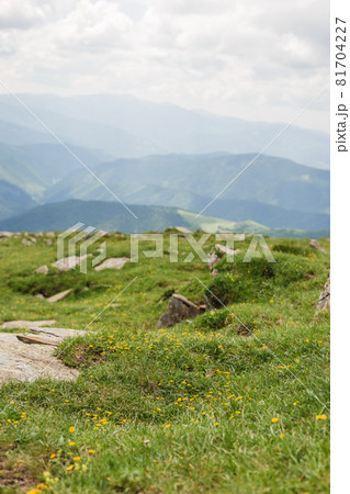 Panoramic views of the beautiful landscape in the Carpathian mountains. Tourism or Freedom concept. Wild nature, summer landscape. Discover the beauty of earth. Panoramic views of the beautiful landscape in the Carpathian mountains. Tourism or Freedom concept. Wild nature, summer landscape. Discover the beauty of earth. 81704227