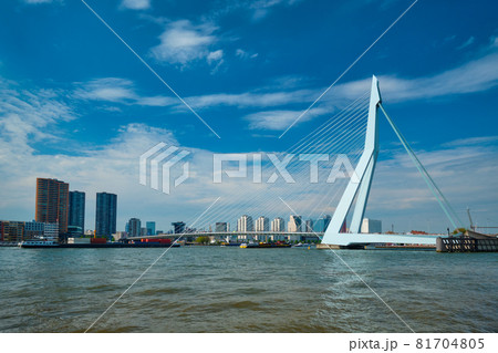 View of Rotterdam over Nieuwe Maas with Erasmusbrug bridge. Rottherdam, the Netherlands View of Rotterdam over Nieuwe Maas with Erasmusbrug bridge. Rottherdam, the Netherlands 81704805
