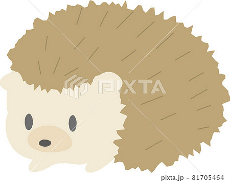 Hedgehog Cute Character Illustration Pop Stock Illustration