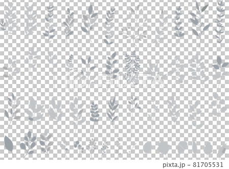 シルバーのリーフ・植物のセット 線画なし ベクター素材 シルバーのリーフ・植物のセット 線画なし ベクター素材 81705531