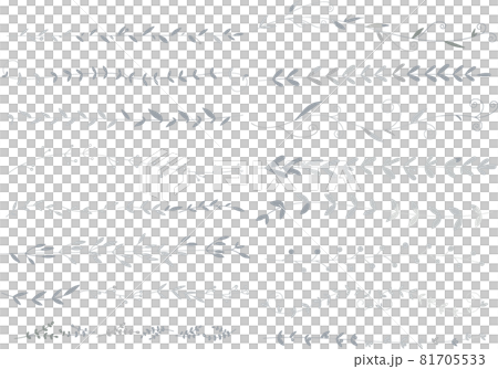銀葉/植物線組矢量素材 81705533