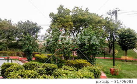 Evening at a beautiful public park at Lucknow Evening at a beautiful public park at Lucknow 81706083