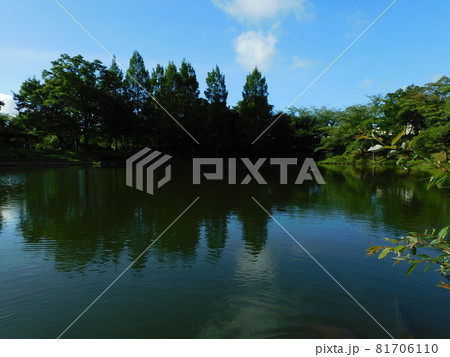 池のある公園 池のある公園 81706110