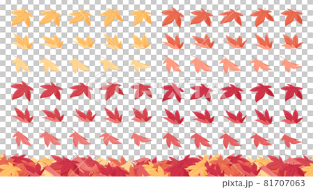 Illustration material set of accumulated fallen leaves_Autumn leaves maple 81707063