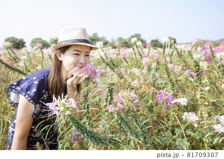 Beautiful woman relaxing in a beautiful flower field watching the sunset. Beautiful woman relaxing in a beautiful flower field watching the sunset. 81709307