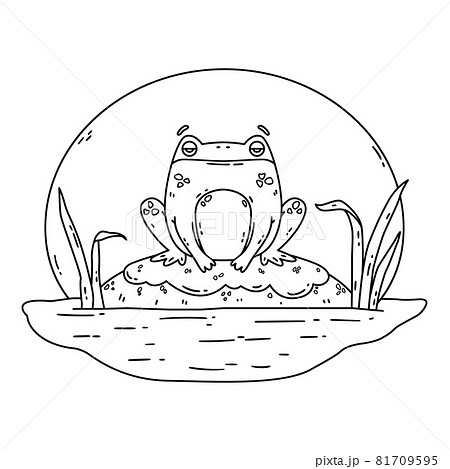 A frog in a swamp. Toad sits on a rock. Cute flat hand drawn character. Vector illustration isolated on white background. Coloring page. A frog in a swamp. Toad sits on a rock. Cute flat hand drawn character. Vector illustration isolated on white background. Coloring page. 81709595