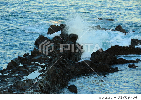 海岸 海 灯台 81709704