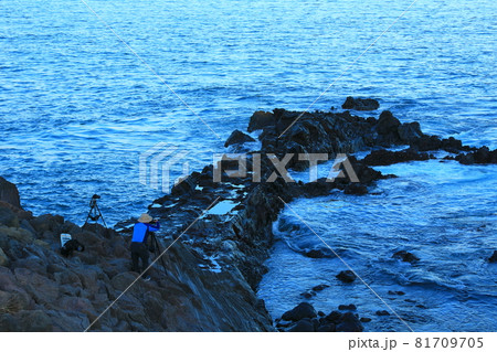 海岸 海 灯台 81709705