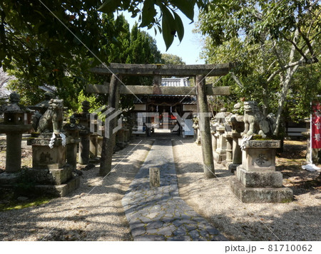 遠くに本殿を見る冬の日の神社・奈良豆比古神社 遠くに本殿を見る冬の日の神社・奈良豆比古神社 81710062
