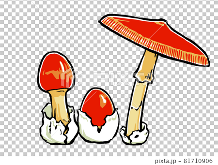 成長段階の異なる3本のタマゴタケ　筆描き・マット塗り 81710906