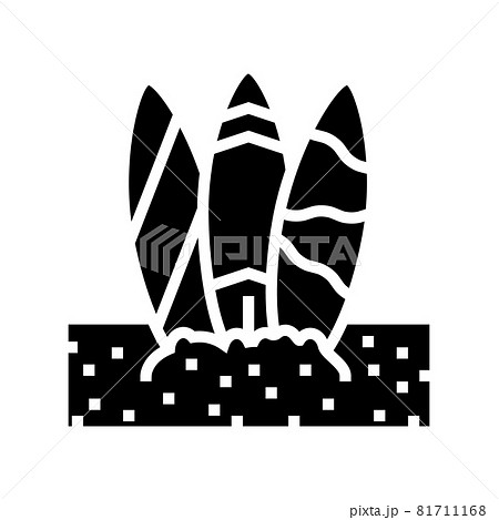surf board on sand beach glyph icon vector illustration 81711168